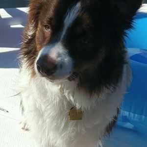 Meet your Posher, Loretta